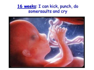 16 weeks: I can kick, punch, do somersaults and cry