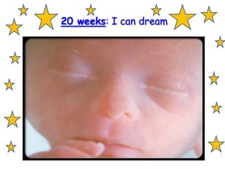 20 weeks: I can dream