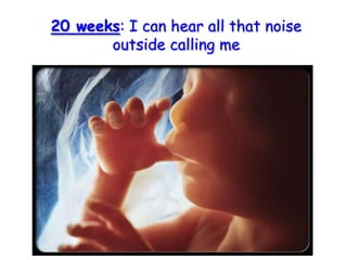 20 weeks: I can hear all that noise outside calling me