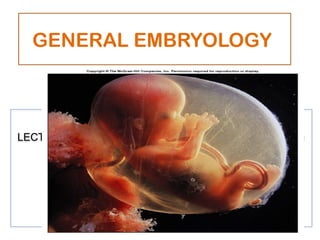 Comprehensive Overview of Human Embryology: Development, Terminology ...