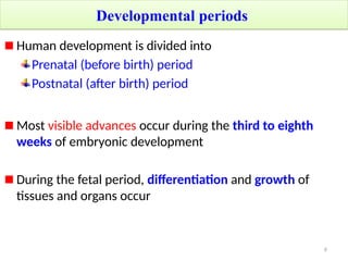 Comprehensive Overview of Human Embryology: Development, Terminology ...