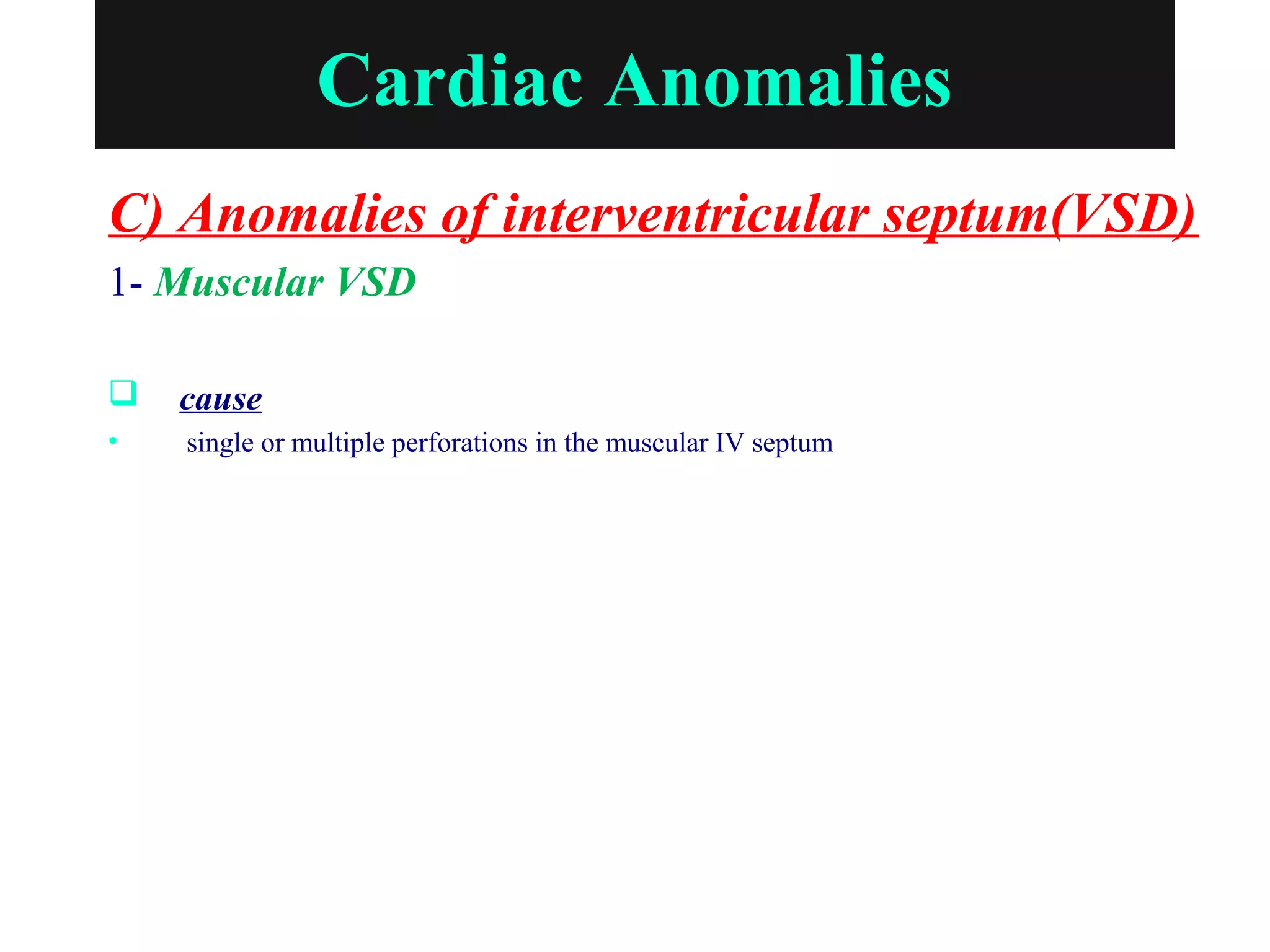 Cardiac Anomalies
C) Anomalies of interventricular septum(VSD)
1- Muscular VSD
 cause
• single or multiple perforations in the muscular IV septum
 