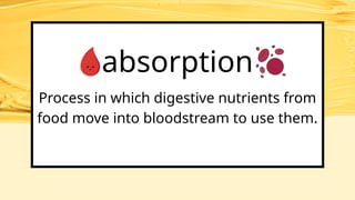 Embryological Development in Animals ppt | PPTX