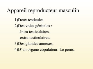 Appareil reproducteur masculin
1)Deux testicules.
2)Des voies génitales :
-Intra testiculaires.
-extra testiculaires.
3)Des glandes annexes.
4)D’un organe copulateur: Le pénis.
 
