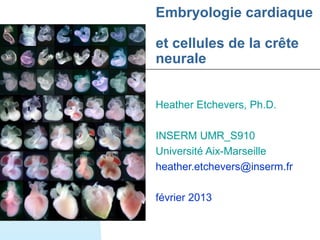 Embryologie cardiaque

et cellules de la crête
neurale


Heather Etchevers, Ph.D.

INSERM UMR_S910
Université Aix-Marseille
heather.etchevers@inserm.fr

février 2013
 