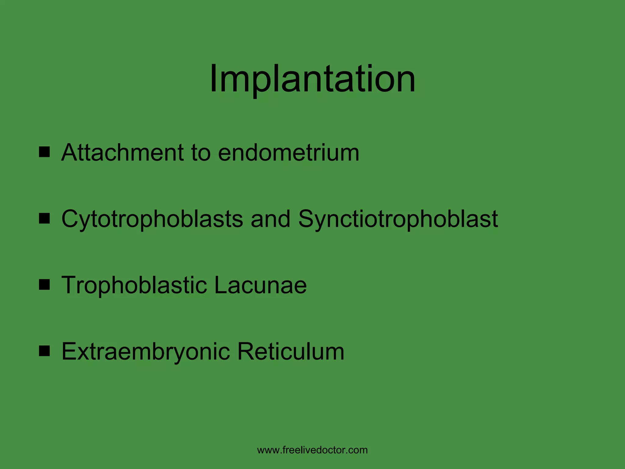 Implantation Attachment to endometrium Cytotrophoblasts and Synctiotrophoblast Trophoblastic Lacunae Extraembryonic Reticulum www.freelivedoctor.com 