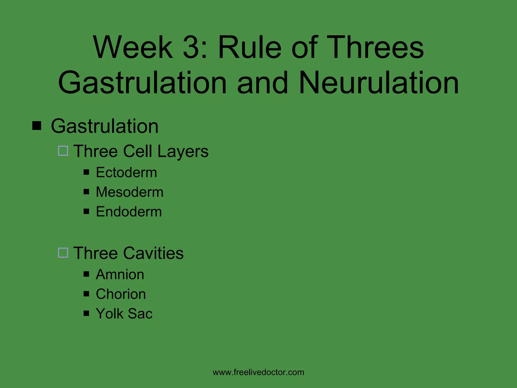 Week 3: Rule of Threes Gastrulation and Neurulation Gastrulation  Three Cell Layers Ectoderm Mesoderm Endoderm Three Cavities Amnion Chorion Yolk Sac www.freelivedoctor.com 