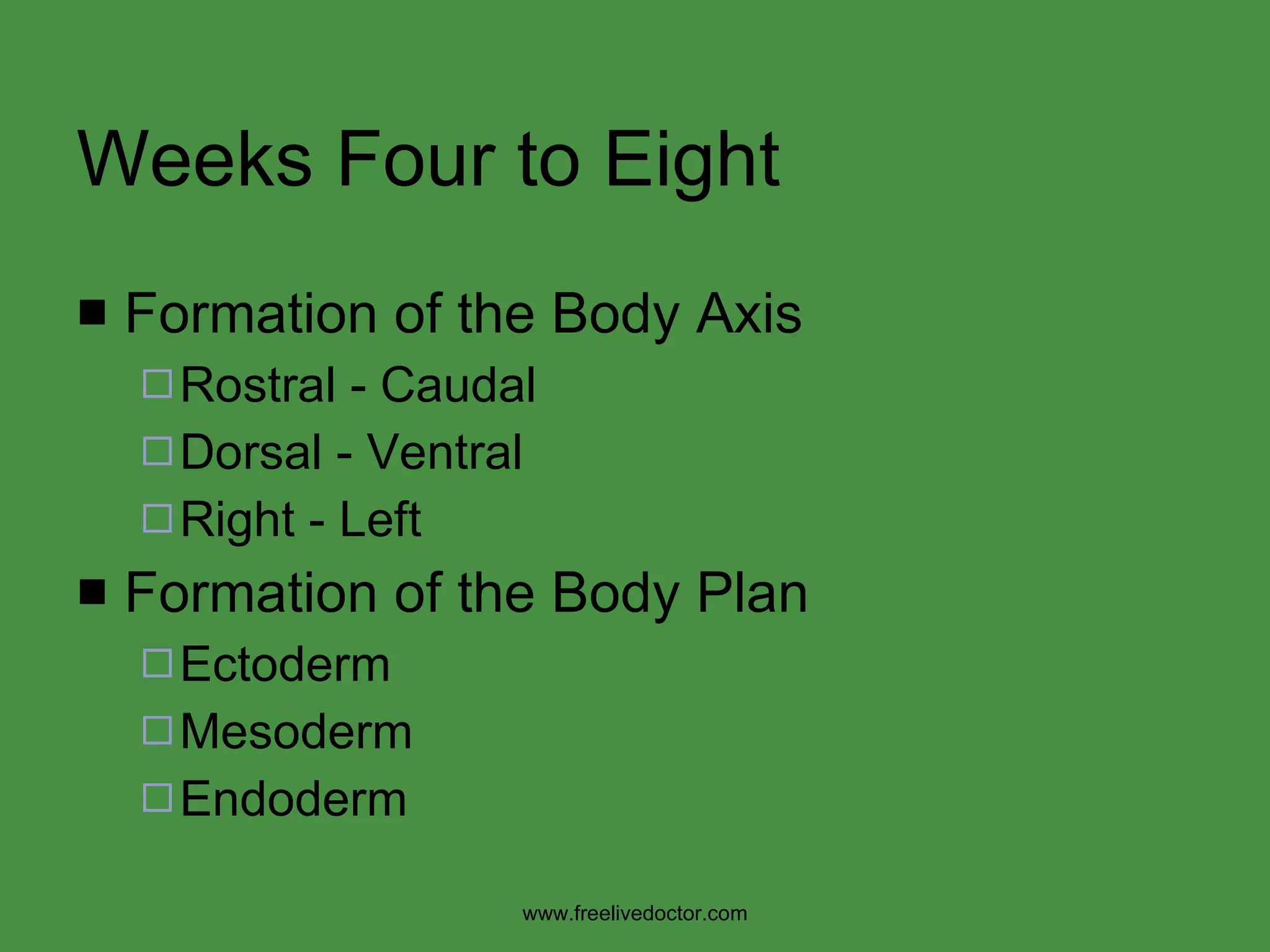 Weeks Four to Eight Formation of the Body Axis Rostral - Caudal Dorsal - Ventral Right - Left Formation of the Body Plan Ectoderm Mesoderm Endoderm www.freelivedoctor.com 