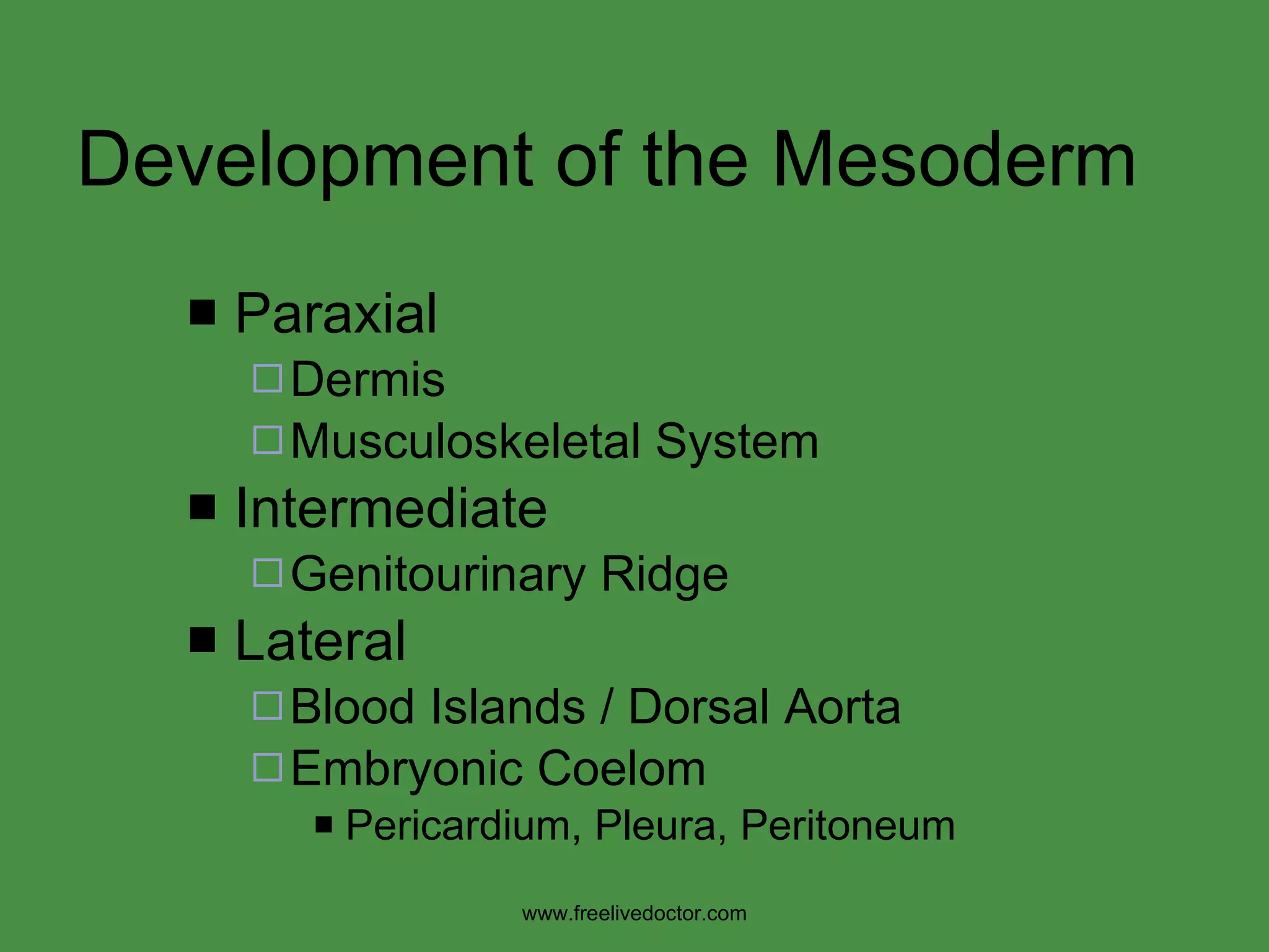 Development of the Mesoderm Paraxial Dermis Musculoskeletal System Intermediate Genitourinary Ridge Lateral Blood Islands / Dorsal Aorta Embryonic Coelom Pericardium, Pleura, Peritoneum www.freelivedoctor.com 