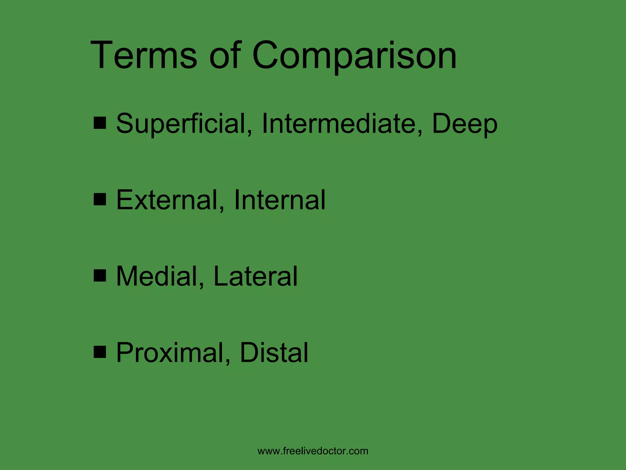 Terms of Comparison Superficial, Intermediate, Deep External, Internal  Medial, Lateral Proximal, Distal www.freelivedoctor.com 