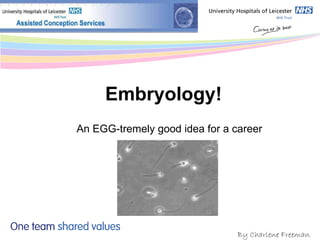 Embryology! An EGG-tremely good idea for a career By Charlene Freeman   