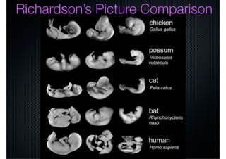Richardson’s Picture Comparison
 