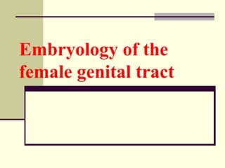 Embryology of the   female genital tract 