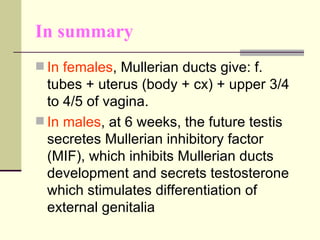 In summary <ul><li>In females , Mullerian ducts give: f. tubes + uterus (body + cx) + upper 3/4 to 4/5 of vagina . </li></...