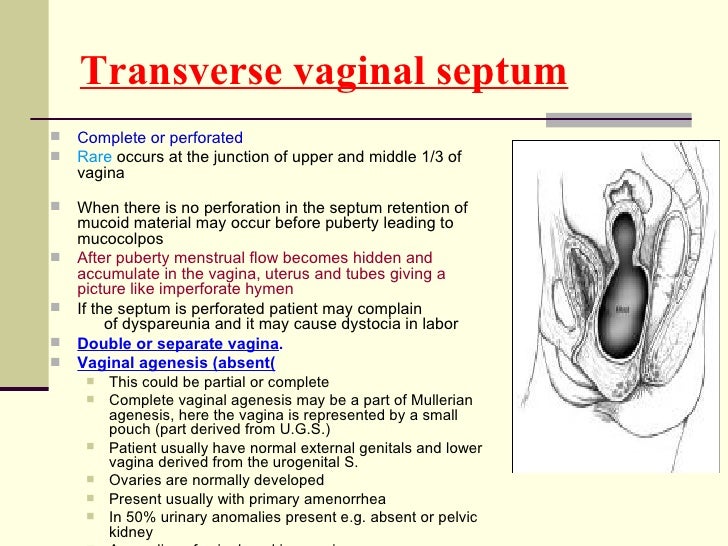 Embryology