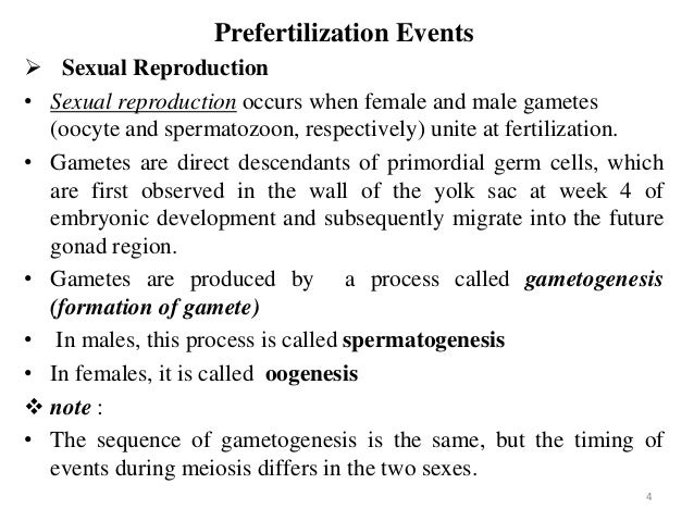 embryology true or false humans form gametes by a process called gametogenesis