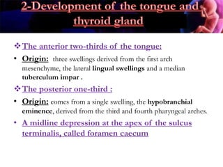 .
The anterior two-thirds of the tongue:
• Origin: three swellings derived from the first arch
mesenchyme, the lateral lingual swellings and a median
tuberculum impar .
The posterior one-third :
• Origin: comes from a single swelling, the hypobranchial
eminence, derived from the third and fourth pharyngeal arches.
• A midline depression at the apex of the sulcus
terminalis, called foramen caecum
 