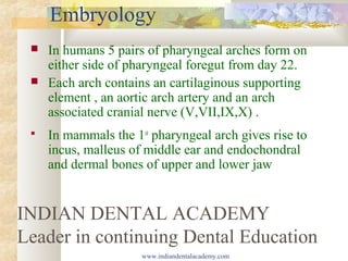 Embryology
 In humans 5 pairs of pharyngeal arches form on
either side of pharyngeal foregut from day 22.
 Each arch contains an cartilaginous supporting
element , an aortic arch artery and an arch
associated cranial nerve (V,VII,IX,X) .
 In mammals the 1st
pharyngeal arch gives rise to
incus, malleus of middle ear and endochondral
and dermal bones of upper and lower jaw
INDIAN DENTAL ACADEMY
Leader in continuing Dental Education
www.indiandentalacademy.com
 