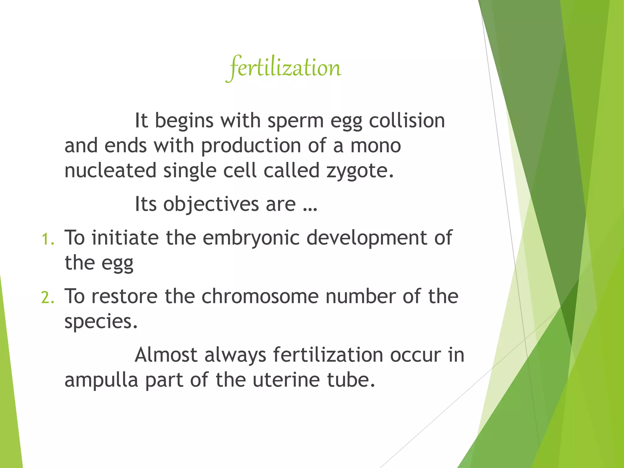 Embryology | PPTX