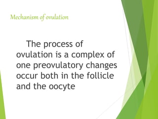 Mechanism of ovulation
The process of
ovulation is a complex of
one preovulatory changes
occur both in the follicle
and the oocyte
 