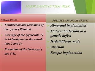 MAJOR EVENTS OF FIRST WEEK
NORMAL EVENTS
 Fertilization and formation of
the zygote (30hours).
 Cleavage of the zygote into 12
to 16 blastomeres- the morula
(day 2 and 3).
 Formation of the blastocyst (
day 5-8).
POSSIBLE ABNORMAL EVENTS
 Abnormal implantation
 Maternal infection or a
genetic defect
 Hydatidiform mole
 Abortion
 Ectopic implantation
 