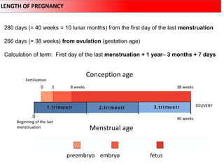 Comprehensive Overview of Human Embryology: From Fertilization to Fetal ...
