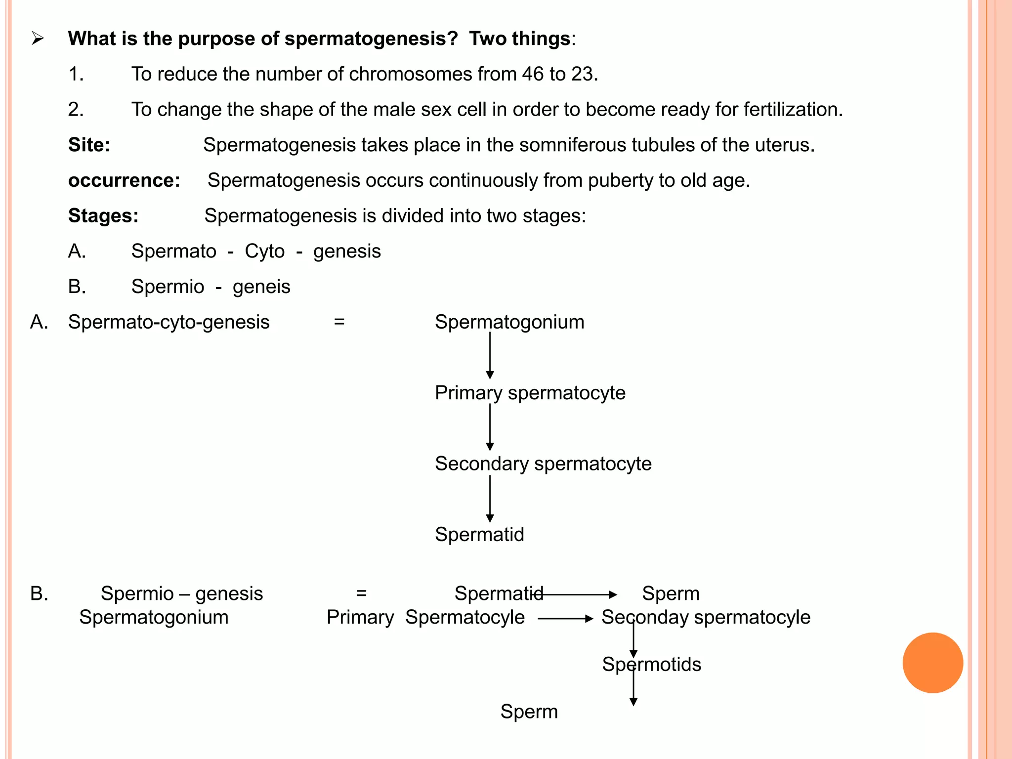  What is the purpose of spermatogenesis? Two things:
1. To reduce the number of chromosomes from 46 to 23.
2. To change the shape of the male sex cell in order to become ready for fertilization.
Site: Spermatogenesis takes place in the somniferous tubules of the uterus.
occurrence: Spermatogenesis occurs continuously from puberty to old age.
Stages: Spermatogenesis is divided into two stages:
A. Spermato - Cyto - genesis
B. Spermio - geneis
A. Spermato-cyto-genesis = Spermatogonium
Primary spermatocyte
Secondary spermatocyte
Spermatid
B. Spermio – genesis = Spermatid Sperm
Spermatogonium Primary Spermatocyle Seconday spermatocyle
Spermotids
Sperm
 