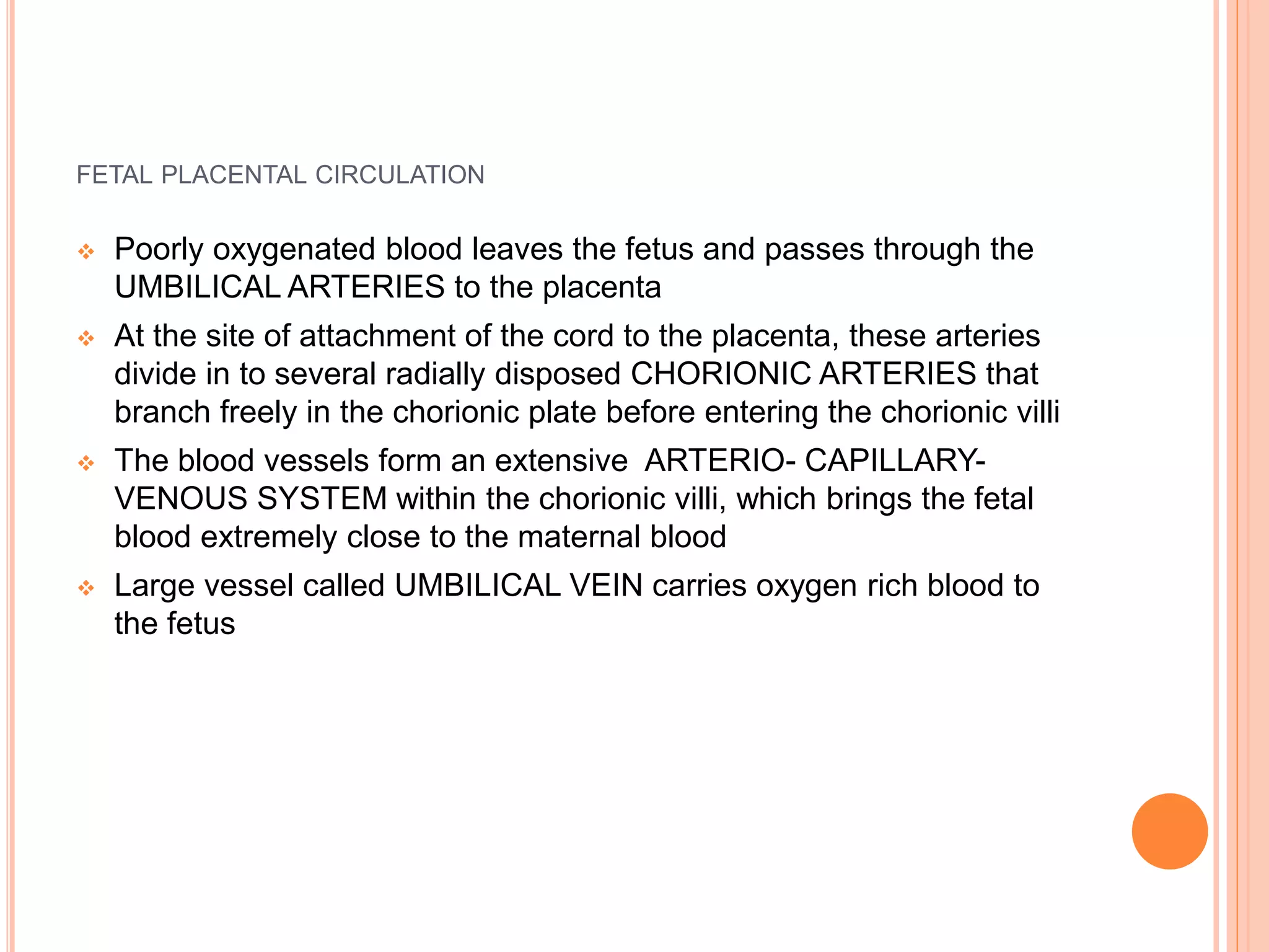 FETAL PLACENTAL CIRCULATION
 Poorly oxygenated blood leaves the fetus and passes through the
UMBILICAL ARTERIES to the placenta
 At the site of attachment of the cord to the placenta, these arteries
divide in to several radially disposed CHORIONIC ARTERIES that
branch freely in the chorionic plate before entering the chorionic villi
 The blood vessels form an extensive ARTERIO- CAPILLARY-
VENOUS SYSTEM within the chorionic villi, which brings the fetal
blood extremely close to the maternal blood
 Large vessel called UMBILICAL VEIN carries oxygen rich blood to
the fetus
 