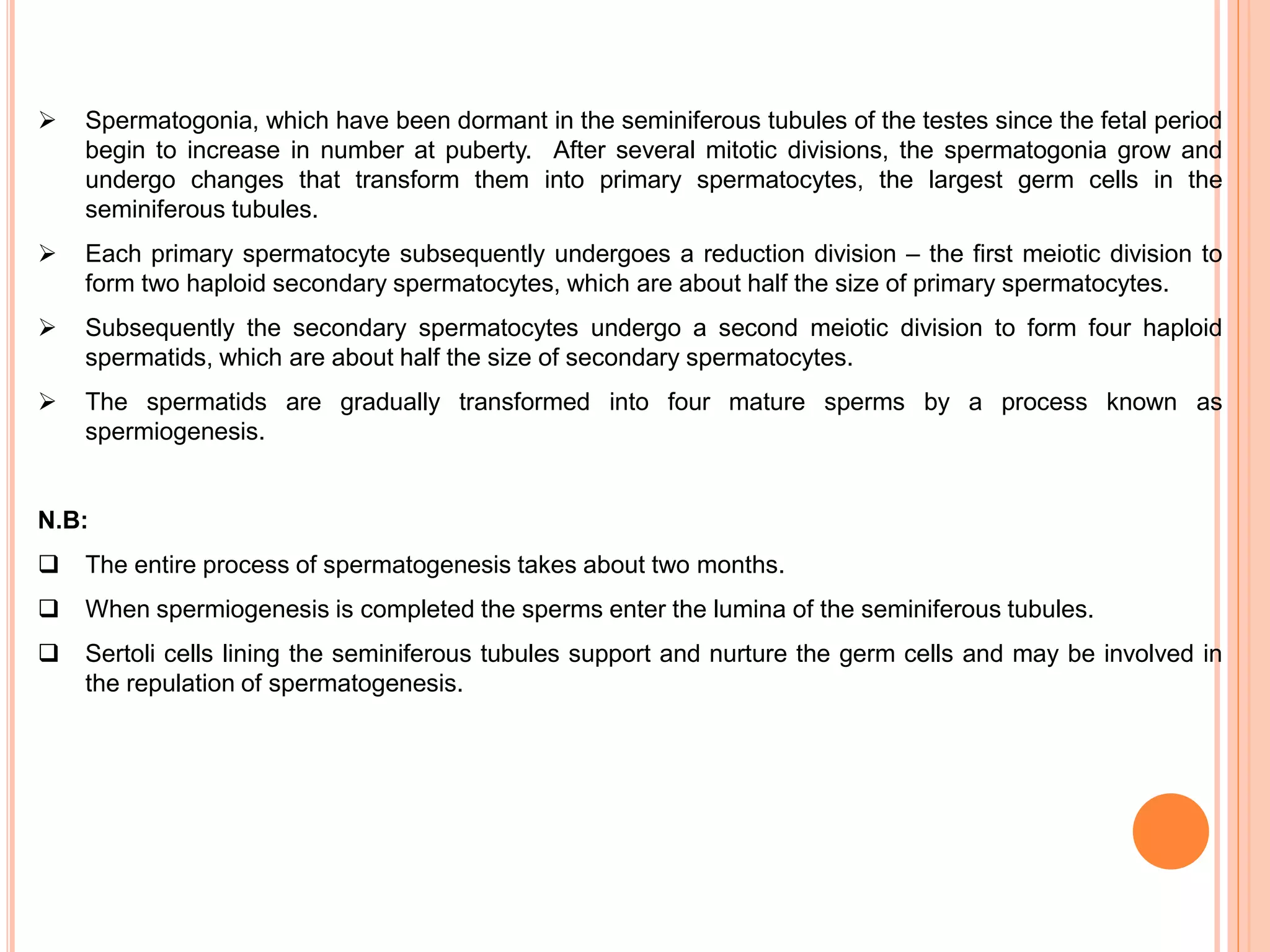  Spermatogonia, which have been dormant in the seminiferous tubules of the testes since the fetal period
begin to increase in number at puberty. After several mitotic divisions, the spermatogonia grow and
undergo changes that transform them into primary spermatocytes, the largest germ cells in the
seminiferous tubules.
 Each primary spermatocyte subsequently undergoes a reduction division – the first meiotic division to
form two haploid secondary spermatocytes, which are about half the size of primary spermatocytes.
 Subsequently the secondary spermatocytes undergo a second meiotic division to form four haploid
spermatids, which are about half the size of secondary spermatocytes.
 The spermatids are gradually transformed into four mature sperms by a process known as
spermiogenesis.
N.B:
 The entire process of spermatogenesis takes about two months.
 When spermiogenesis is completed the sperms enter the lumina of the seminiferous tubules.
 Sertoli cells lining the seminiferous tubules support and nurture the germ cells and may be involved in
the repulation of spermatogenesis.
 