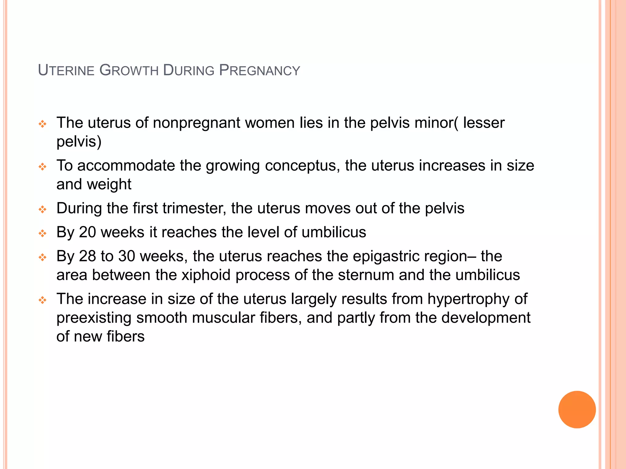 UTERINE GROWTH DURING PREGNANCY
 The uterus of nonpregnant women lies in the pelvis minor( lesser
pelvis)
 To accommodate the growing conceptus, the uterus increases in size
and weight
 During the first trimester, the uterus moves out of the pelvis
 By 20 weeks it reaches the level of umbilicus
 By 28 to 30 weeks, the uterus reaches the epigastric region– the
area between the xiphoid process of the sternum and the umbilicus
 The increase in size of the uterus largely results from hypertrophy of
preexisting smooth muscular fibers, and partly from the development
of new fibers
 