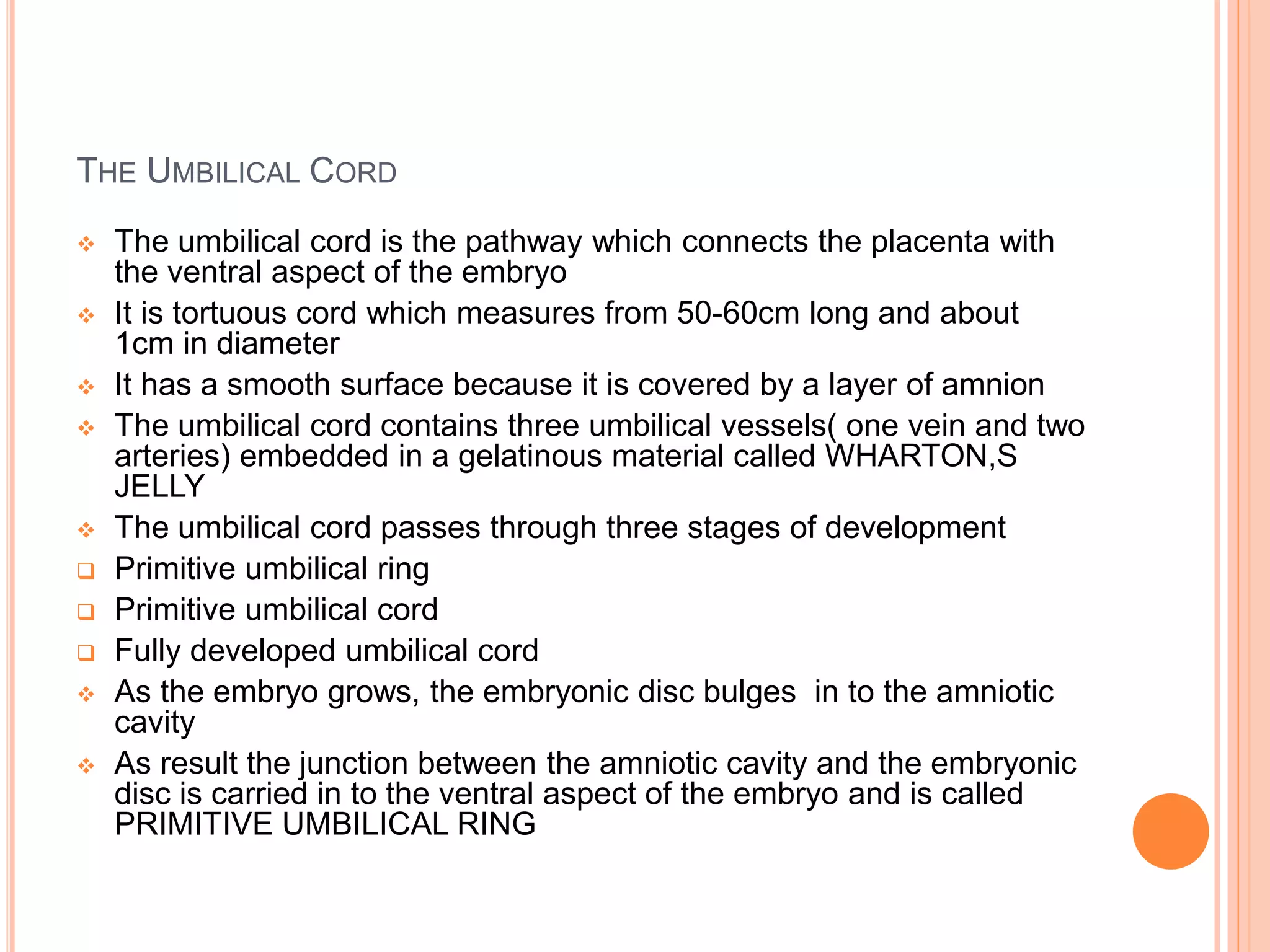 THE UMBILICAL CORD
 The umbilical cord is the pathway which connects the placenta with
the ventral aspect of the embryo
 It is tortuous cord which measures from 50-60cm long and about
1cm in diameter
 It has a smooth surface because it is covered by a layer of amnion
 The umbilical cord contains three umbilical vessels( one vein and two
arteries) embedded in a gelatinous material called WHARTON,S
JELLY
 The umbilical cord passes through three stages of development
 Primitive umbilical ring
 Primitive umbilical cord
 Fully developed umbilical cord
 As the embryo grows, the embryonic disc bulges in to the amniotic
cavity
 As result the junction between the amniotic cavity and the embryonic
disc is carried in to the ventral aspect of the embryo and is called
PRIMITIVE UMBILICAL RING
 