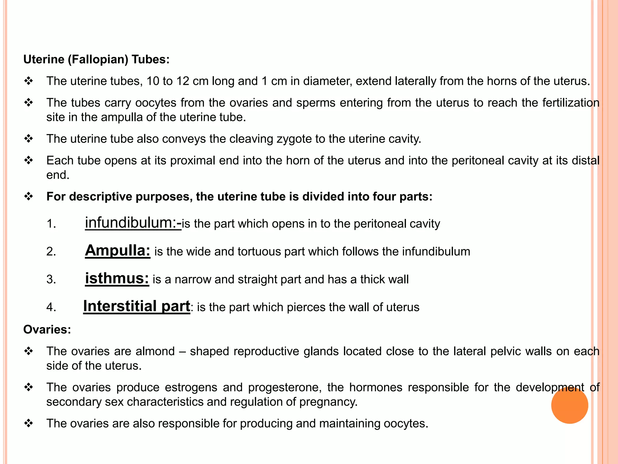 Uterine (Fallopian) Tubes:
 The uterine tubes, 10 to 12 cm long and 1 cm in diameter, extend laterally from the horns of the uterus.
 The tubes carry oocytes from the ovaries and sperms entering from the uterus to reach the fertilization
site in the ampulla of the uterine tube.
 The uterine tube also conveys the cleaving zygote to the uterine cavity.
 Each tube opens at its proximal end into the horn of the uterus and into the peritoneal cavity at its distal
end.
 For descriptive purposes, the uterine tube is divided into four parts:
1. infundibulum:-is the part which opens in to the peritoneal cavity
2. Ampulla: is the wide and tortuous part which follows the infundibulum
3. isthmus: is a narrow and straight part and has a thick wall
4. Interstitial part: is the part which pierces the wall of uterus
Ovaries:
 The ovaries are almond – shaped reproductive glands located close to the lateral pelvic walls on each
side of the uterus.
 The ovaries produce estrogens and progesterone, the hormones responsible for the development of
secondary sex characteristics and regulation of pregnancy.
 The ovaries are also responsible for producing and maintaining oocytes.
 