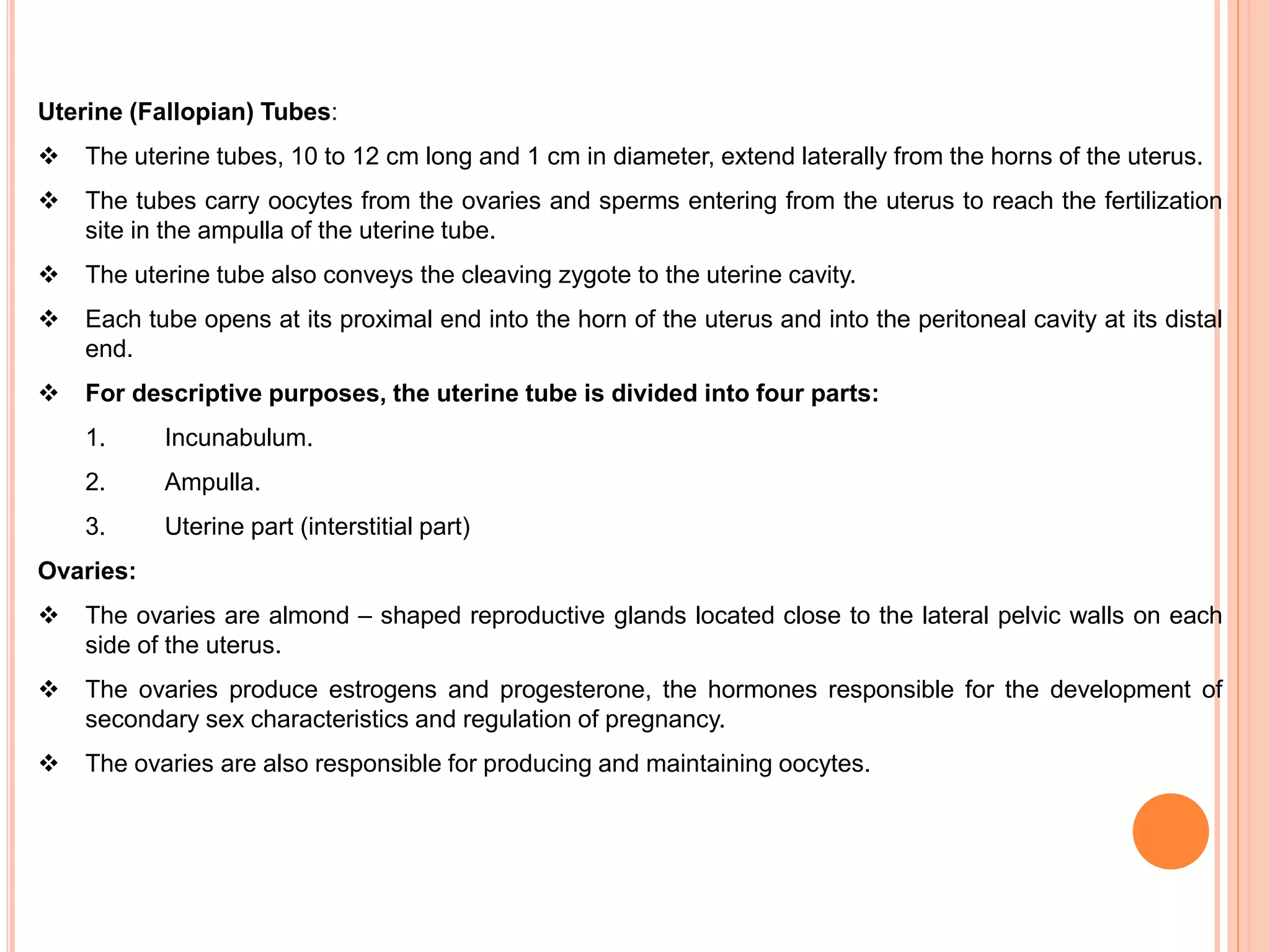 Uterine (Fallopian) Tubes:
 The uterine tubes, 10 to 12 cm long and 1 cm in diameter, extend laterally from the horns of the uterus.
 The tubes carry oocytes from the ovaries and sperms entering from the uterus to reach the fertilization
site in the ampulla of the uterine tube.
 The uterine tube also conveys the cleaving zygote to the uterine cavity.
 Each tube opens at its proximal end into the horn of the uterus and into the peritoneal cavity at its distal
end.
 For descriptive purposes, the uterine tube is divided into four parts:
1. Incunabulum.
2. Ampulla.
3. Uterine part (interstitial part)
Ovaries:
 The ovaries are almond – shaped reproductive glands located close to the lateral pelvic walls on each
side of the uterus.
 The ovaries produce estrogens and progesterone, the hormones responsible for the development of
secondary sex characteristics and regulation of pregnancy.
 The ovaries are also responsible for producing and maintaining oocytes.
 