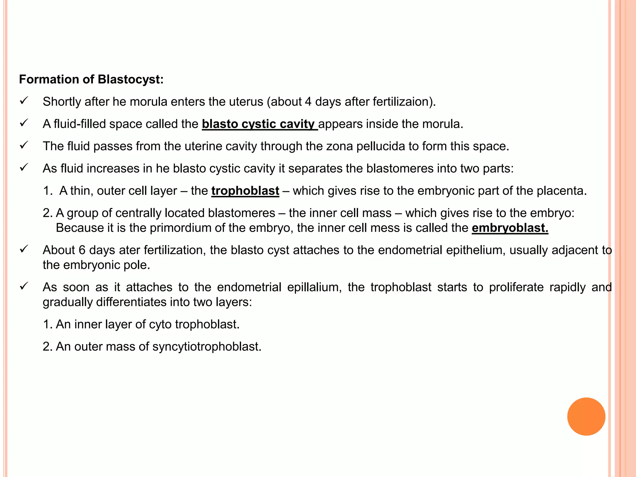 Formation of Blastocyst:
 Shortly after he morula enters the uterus (about 4 days after fertilizaion).
 A fluid-filled space called the blasto cystic cavity appears inside the morula.
 The fluid passes from the uterine cavity through the zona pellucida to form this space.
 As fluid increases in he blasto cystic cavity it separates the blastomeres into two parts:
1. A thin, outer cell layer – the trophoblast – which gives rise to the embryonic part of the placenta.
2. A group of centrally located blastomeres – the inner cell mass – which gives rise to the embryo:
Because it is the primordium of the embryo, the inner cell mess is called the embryoblast.
 About 6 days ater fertilization, the blasto cyst attaches to the endometrial epithelium, usually adjacent to
the embryonic pole.
 As soon as it attaches to the endometrial epillalium, the trophoblast starts to proliferate rapidly and
gradually differentiates into two layers:
1. An inner layer of cyto trophoblast.
2. An outer mass of syncytiotrophoblast.
 
