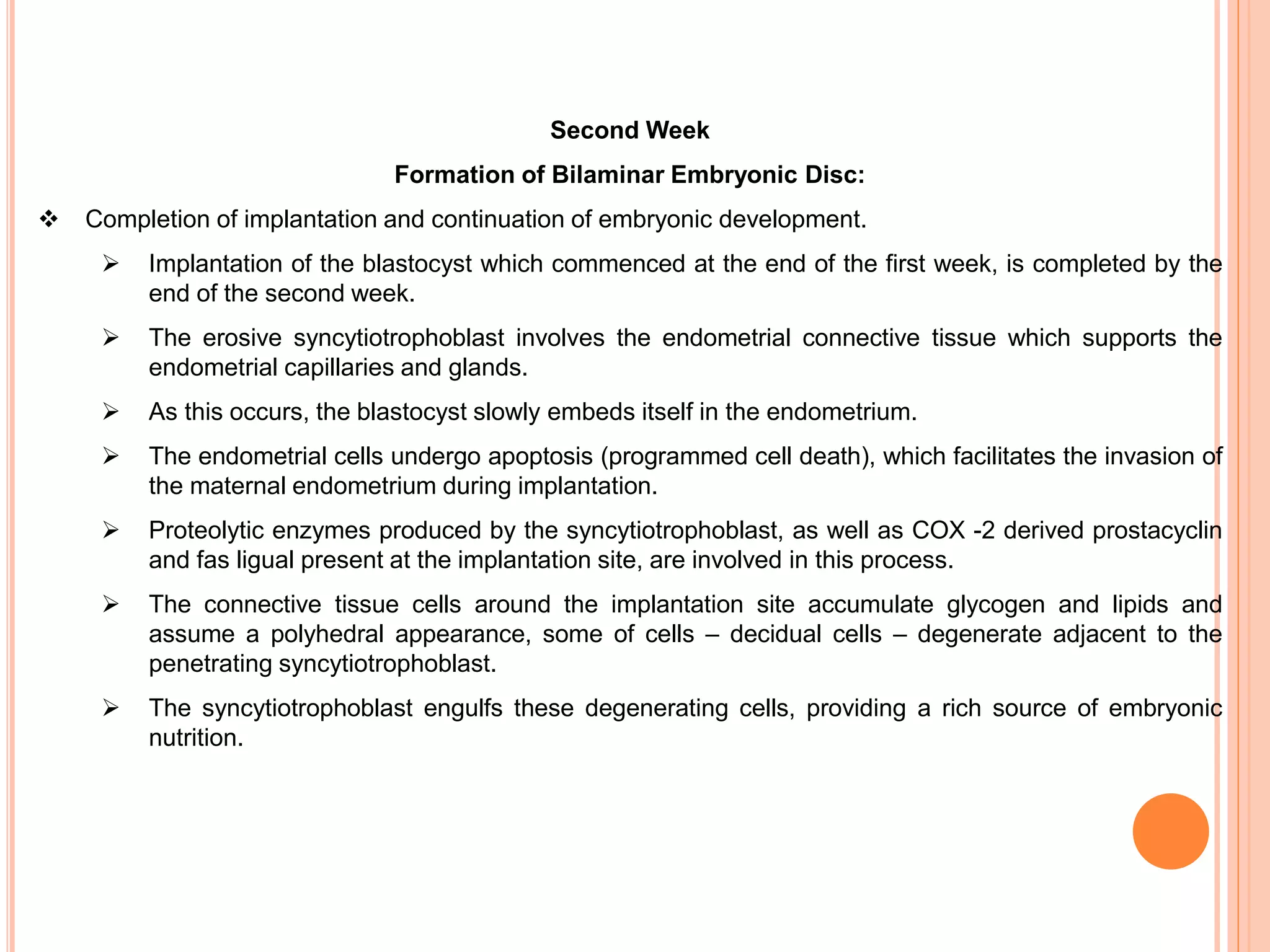 Second Week
Formation of Bilaminar Embryonic Disc:
 Completion of implantation and continuation of embryonic development.
 Implantation of the blastocyst which commenced at the end of the first week, is completed by the
end of the second week.
 The erosive syncytiotrophoblast involves the endometrial connective tissue which supports the
endometrial capillaries and glands.
 As this occurs, the blastocyst slowly embeds itself in the endometrium.
 The endometrial cells undergo apoptosis (programmed cell death), which facilitates the invasion of
the maternal endometrium during implantation.
 Proteolytic enzymes produced by the syncytiotrophoblast, as well as COX -2 derived prostacyclin
and fas ligual present at the implantation site, are involved in this process.
 The connective tissue cells around the implantation site accumulate glycogen and lipids and
assume a polyhedral appearance, some of cells – decidual cells – degenerate adjacent to the
penetrating syncytiotrophoblast.
 The syncytiotrophoblast engulfs these degenerating cells, providing a rich source of embryonic
nutrition.
 
