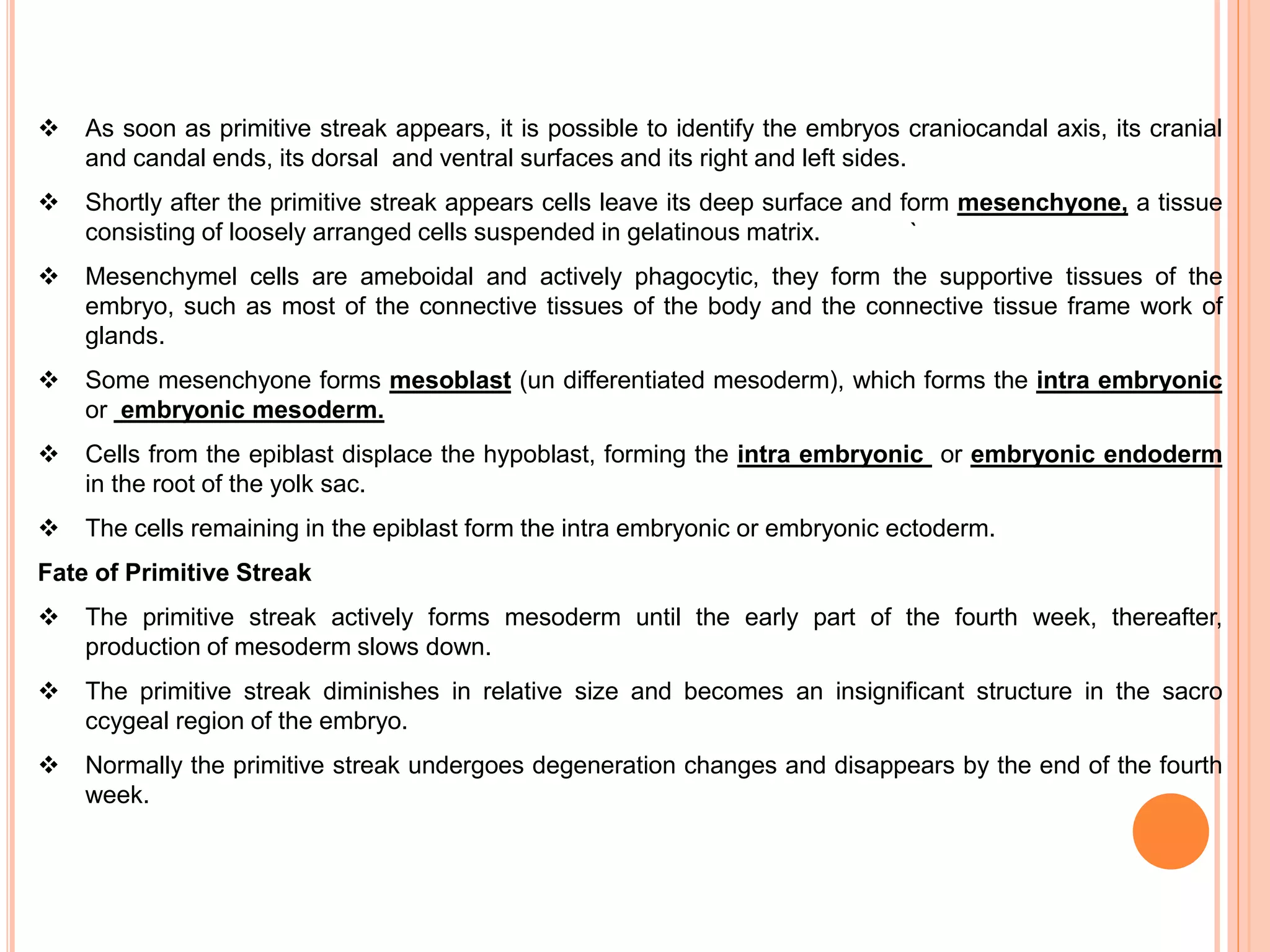  As soon as primitive streak appears, it is possible to identify the embryos craniocandal axis, its cranial
and candal ends, its dorsal and ventral surfaces and its right and left sides.
 Shortly after the primitive streak appears cells leave its deep surface and form mesenchyone, a tissue
consisting of loosely arranged cells suspended in gelatinous matrix. `
 Mesenchymel cells are ameboidal and actively phagocytic, they form the supportive tissues of the
embryo, such as most of the connective tissues of the body and the connective tissue frame work of
glands.
 Some mesenchyone forms mesoblast (un differentiated mesoderm), which forms the intra embryonic
or embryonic mesoderm.
 Cells from the epiblast displace the hypoblast, forming the intra embryonic or embryonic endoderm
in the root of the yolk sac.
 The cells remaining in the epiblast form the intra embryonic or embryonic ectoderm.
Fate of Primitive Streak
 The primitive streak actively forms mesoderm until the early part of the fourth week, thereafter,
production of mesoderm slows down.
 The primitive streak diminishes in relative size and becomes an insignificant structure in the sacro
ccygeal region of the embryo.
 Normally the primitive streak undergoes degeneration changes and disappears by the end of the fourth
week.
 