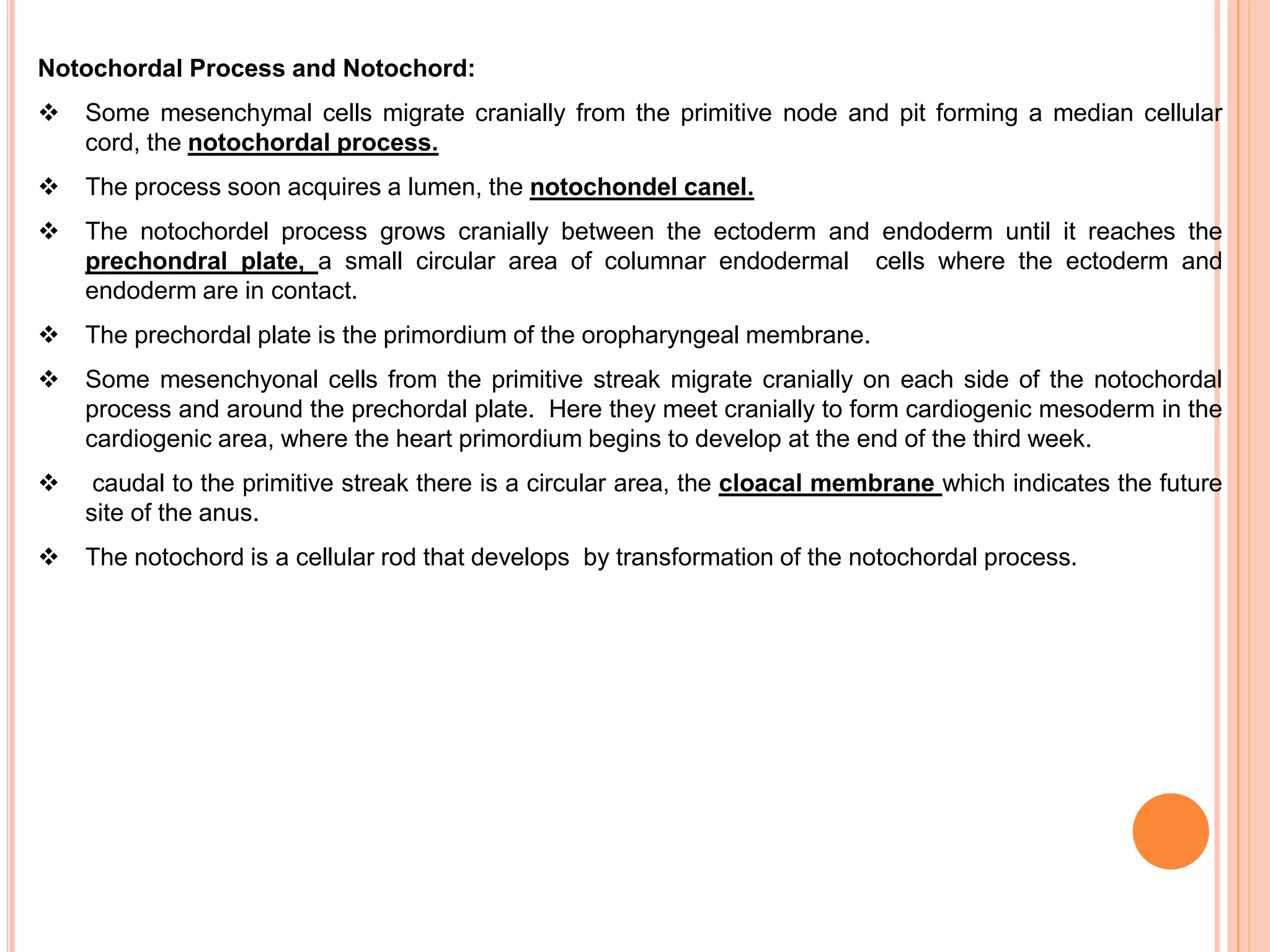 Notochordal Process and Notochord:
 Some mesenchymal cells migrate cranially from the primitive node and pit forming a median cellular
cord, the notochordal process.
 The process soon acquires a lumen, the notochondel canel.
 The notochordel process grows cranially between the ectoderm and endoderm until it reaches the
prechondral plate, a small circular area of columnar endodermal cells where the ectoderm and
endoderm are in contact.
 The prechordal plate is the primordium of the oropharyngeal membrane.
 Some mesenchyonal cells from the primitive streak migrate cranially on each side of the notochordal
process and around the prechordal plate. Here they meet cranially to form cardiogenic mesoderm in the
cardiogenic area, where the heart primordium begins to develop at the end of the third week.
 caudal to the primitive streak there is a circular area, the cloacal membrane which indicates the future
site of the anus.
 The notochord is a cellular rod that develops by transformation of the notochordal process.
 