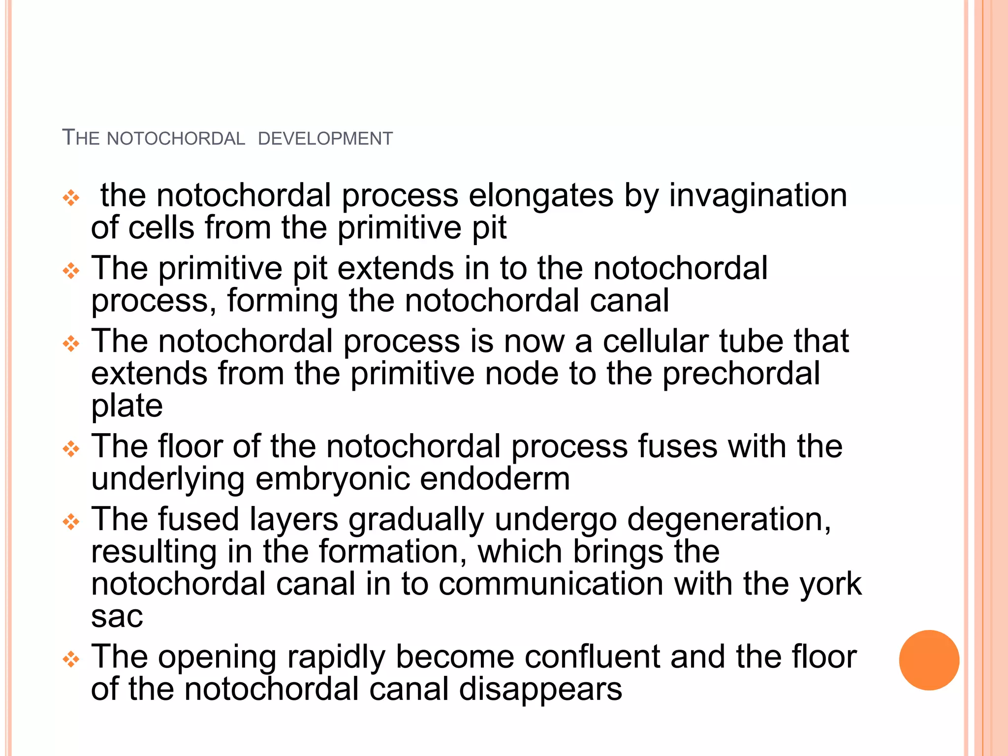 THE NOTOCHORDAL DEVELOPMENT
 the notochordal process elongates by invagination
of cells from the primitive pit
 The primitive pit extends in to the notochordal
process, forming the notochordal canal
 The notochordal process is now a cellular tube that
extends from the primitive node to the prechordal
plate
 The floor of the notochordal process fuses with the
underlying embryonic endoderm
 The fused layers gradually undergo degeneration,
resulting in the formation, which brings the
notochordal canal in to communication with the york
sac
 The opening rapidly become confluent and the floor
of the notochordal canal disappears
 