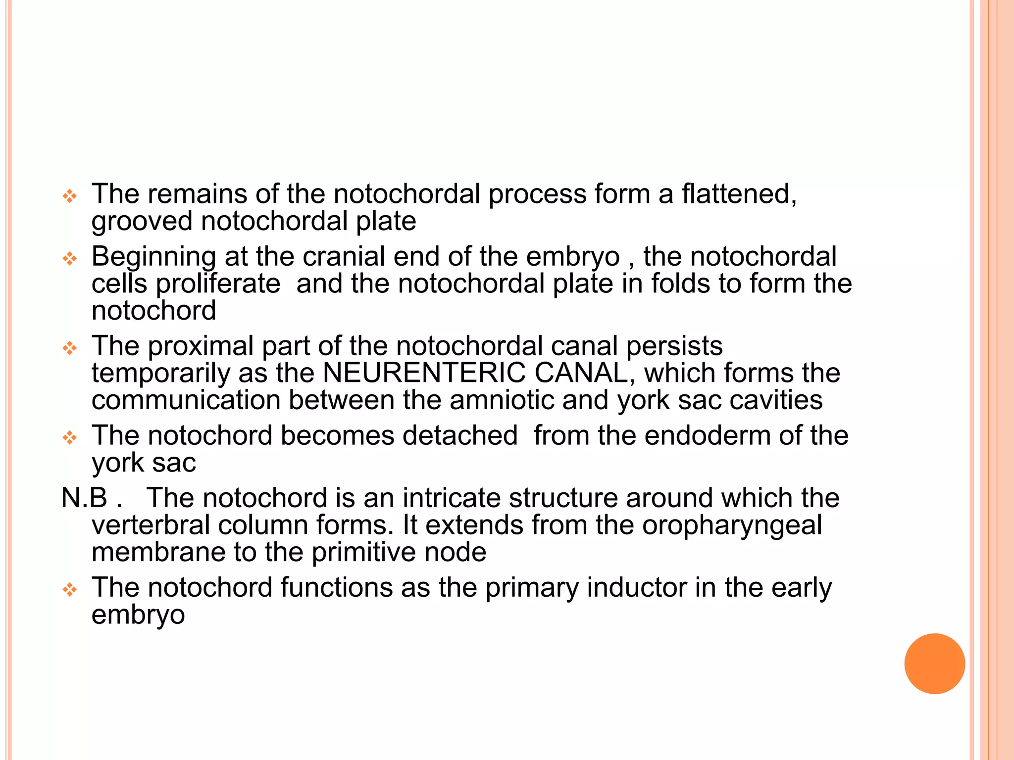  The remains of the notochordal process form a flattened,
grooved notochordal plate
 Beginning at the cranial end of the embryo , the notochordal
cells proliferate and the notochordal plate in folds to form the
notochord
 The proximal part of the notochordal canal persists
temporarily as the NEURENTERIC CANAL, which forms the
communication between the amniotic and york sac cavities
 The notochord becomes detached from the endoderm of the
york sac
N.B . The notochord is an intricate structure around which the
verterbral column forms. It extends from the oropharyngeal
membrane to the primitive node
 The notochord functions as the primary inductor in the early
embryo
 