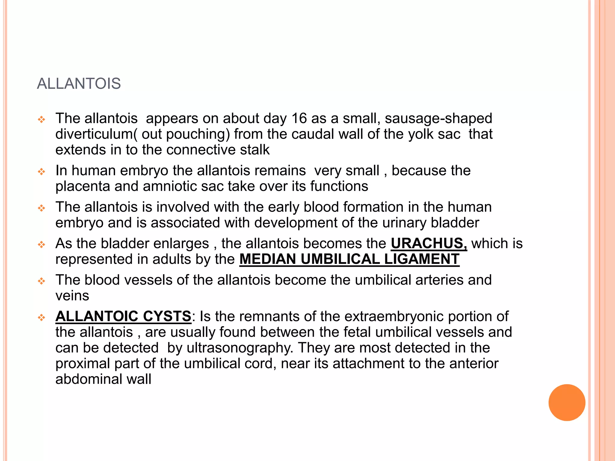 ALLANTOIS
 The allantois appears on about day 16 as a small, sausage-shaped
diverticulum( out pouching) from the caudal wall of the yolk sac that
extends in to the connective stalk
 In human embryo the allantois remains very small , because the
placenta and amniotic sac take over its functions
 The allantois is involved with the early blood formation in the human
embryo and is associated with development of the urinary bladder
 As the bladder enlarges , the allantois becomes the URACHUS, which is
represented in adults by the MEDIAN UMBILICAL LIGAMENT
 The blood vessels of the allantois become the umbilical arteries and
veins
 ALLANTOIC CYSTS: Is the remnants of the extraembryonic portion of
the allantois , are usually found between the fetal umbilical vessels and
can be detected by ultrasonography. They are most detected in the
proximal part of the umbilical cord, near its attachment to the anterior
abdominal wall
 