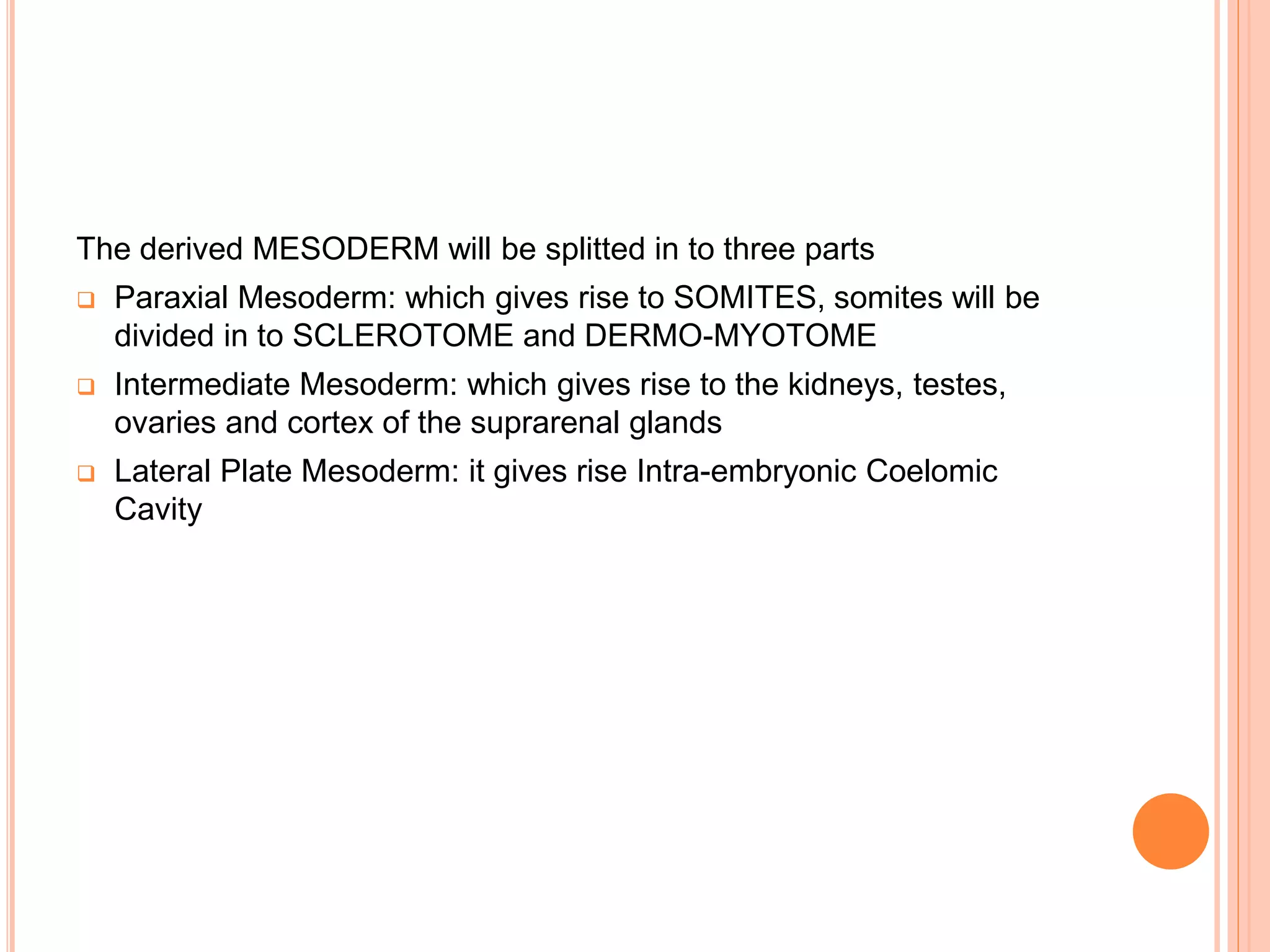 The derived MESODERM will be splitted in to three parts
 Paraxial Mesoderm: which gives rise to SOMITES, somites will be
divided in to SCLEROTOME and DERMO-MYOTOME
 Intermediate Mesoderm: which gives rise to the kidneys, testes,
ovaries and cortex of the suprarenal glands
 Lateral Plate Mesoderm: it gives rise Intra-embryonic Coelomic
Cavity
 