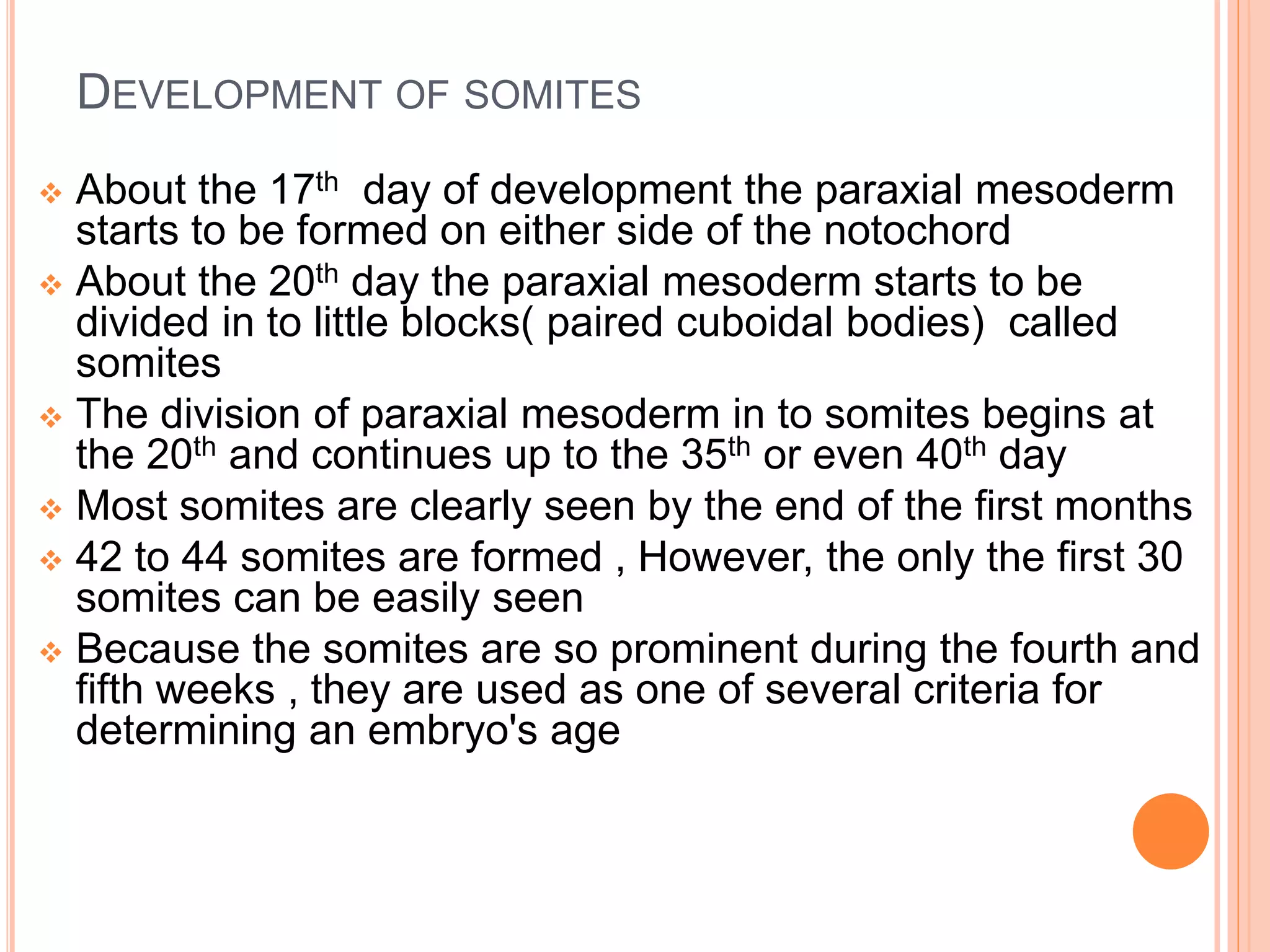 DEVELOPMENT OF SOMITES
 About the 17th day of development the paraxial mesoderm
starts to be formed on either side of the notochord
 About the 20th day the paraxial mesoderm starts to be
divided in to little blocks( paired cuboidal bodies) called
somites
 The division of paraxial mesoderm in to somites begins at
the 20th and continues up to the 35th or even 40th day
 Most somites are clearly seen by the end of the first months
 42 to 44 somites are formed , However, the only the first 30
somites can be easily seen
 Because the somites are so prominent during the fourth and
fifth weeks , they are used as one of several criteria for
determining an embryo's age
 