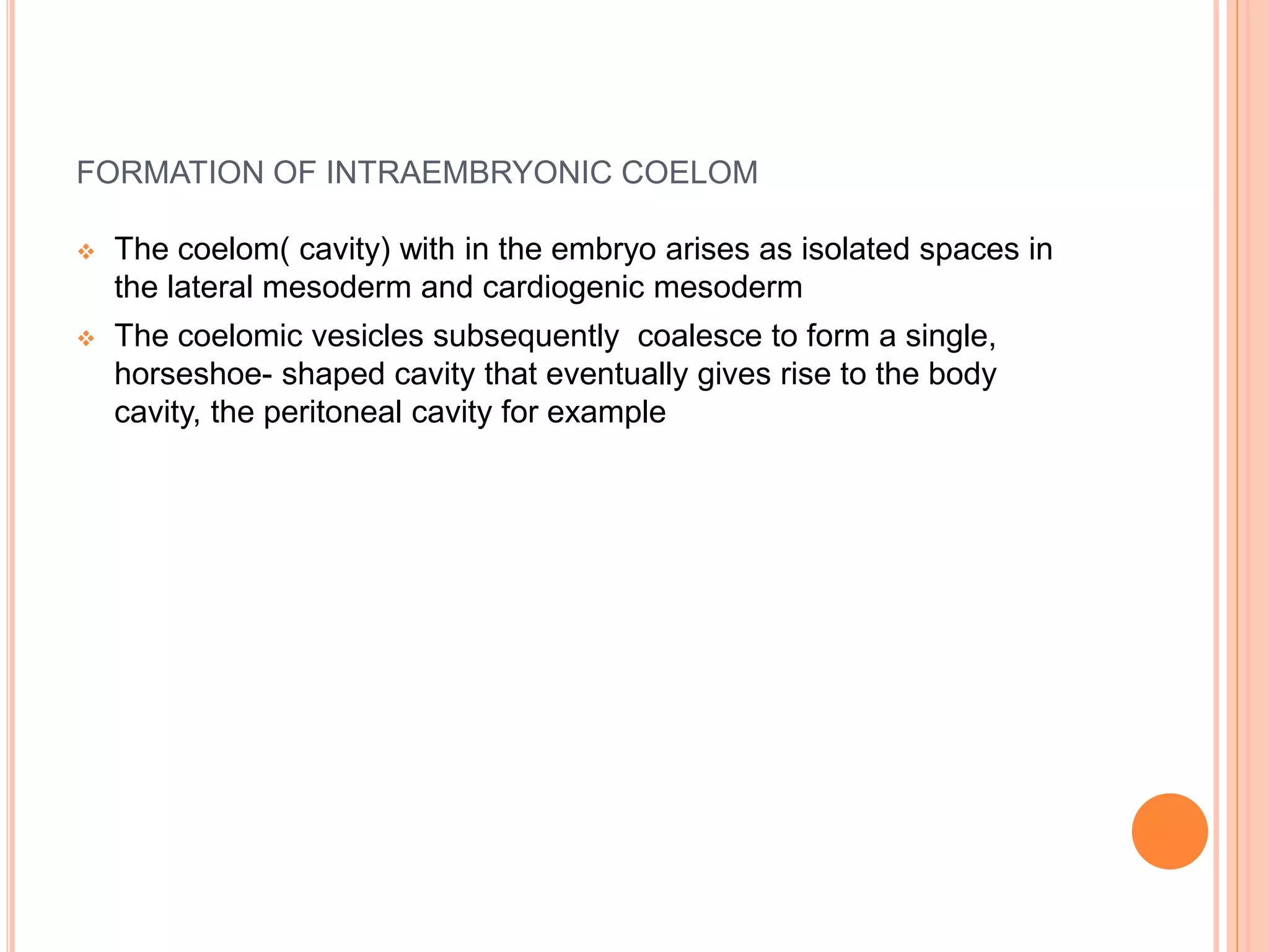 FORMATION OF INTRAEMBRYONIC COELOM
 The coelom( cavity) with in the embryo arises as isolated spaces in
the lateral mesoderm and cardiogenic mesoderm
 The coelomic vesicles subsequently coalesce to form a single,
horseshoe- shaped cavity that eventually gives rise to the body
cavity, the peritoneal cavity for example
 