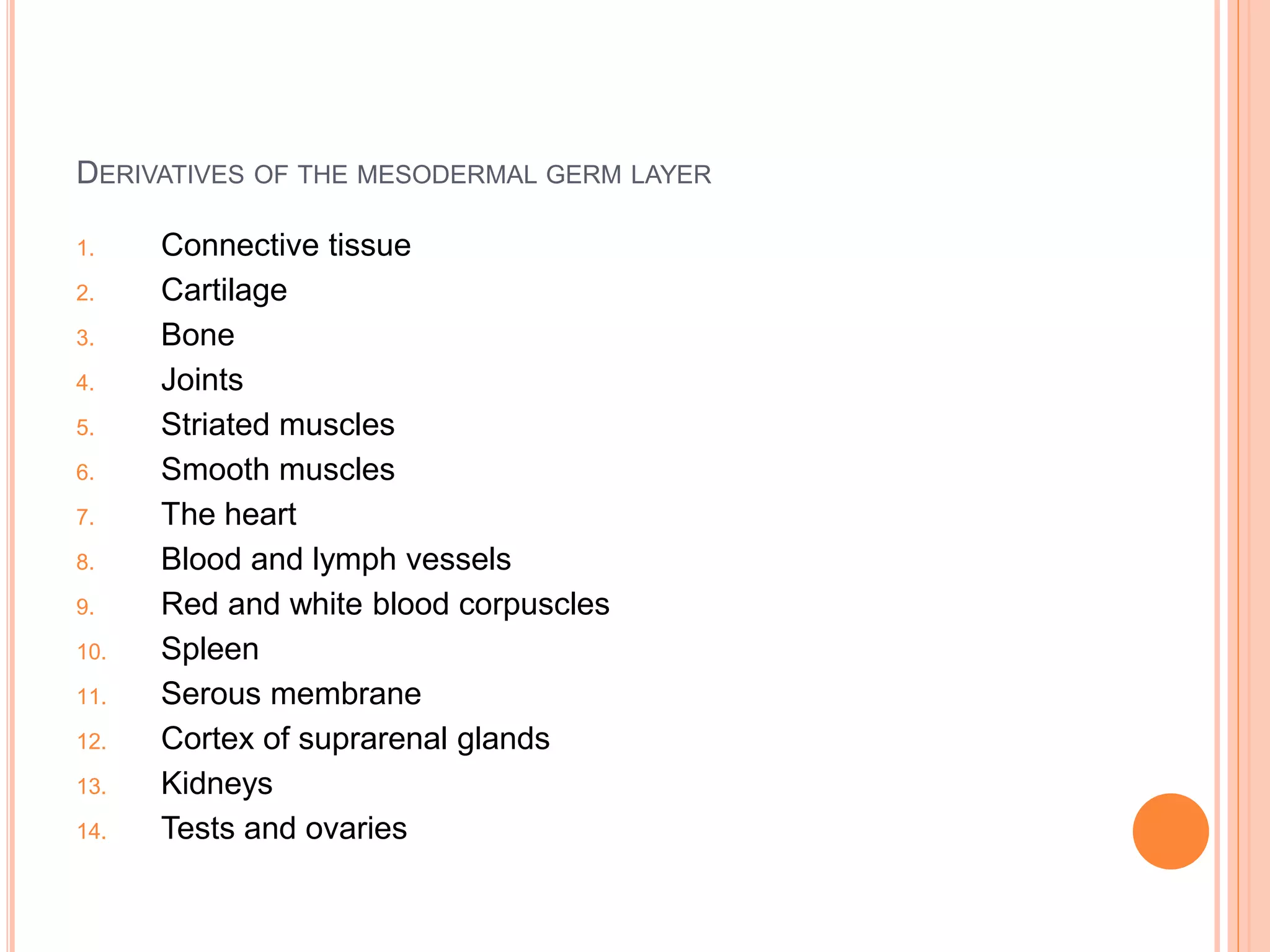 DERIVATIVES OF THE MESODERMAL GERM LAYER
1. Connective tissue
2. Cartilage
3. Bone
4. Joints
5. Striated muscles
6. Smooth muscles
7. The heart
8. Blood and lymph vessels
9. Red and white blood corpuscles
10. Spleen
11. Serous membrane
12. Cortex of suprarenal glands
13. Kidneys
14. Tests and ovaries
 