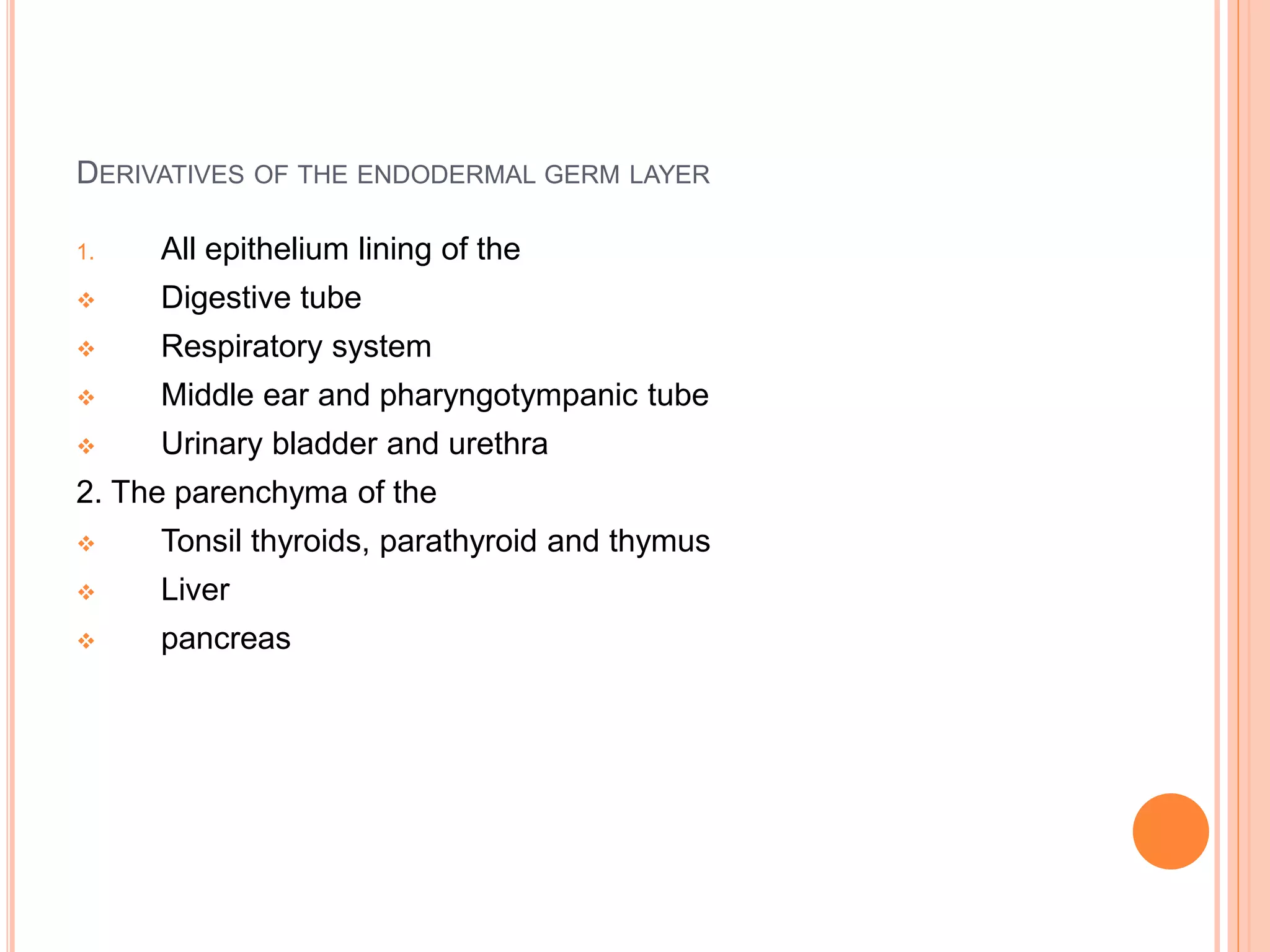 DERIVATIVES OF THE ENDODERMAL GERM LAYER
1. All epithelium lining of the
 Digestive tube
 Respiratory system
 Middle ear and pharyngotympanic tube
 Urinary bladder and urethra
2. The parenchyma of the
 Tonsil thyroids, parathyroid and thymus
 Liver
 pancreas
 