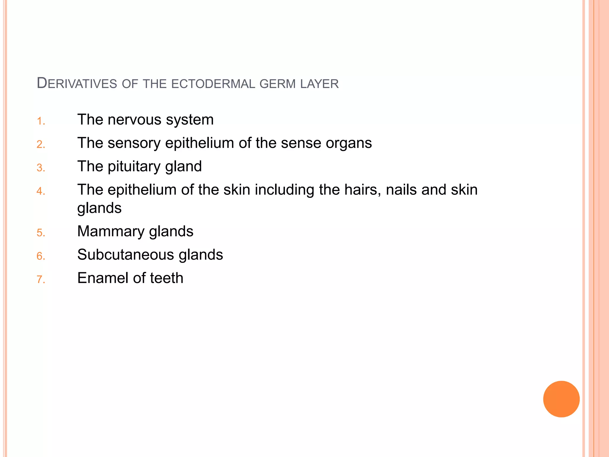 DERIVATIVES OF THE ECTODERMAL GERM LAYER
1. The nervous system
2. The sensory epithelium of the sense organs
3. The pituitary gland
4. The epithelium of the skin including the hairs, nails and skin
glands
5. Mammary glands
6. Subcutaneous glands
7. Enamel of teeth
 
