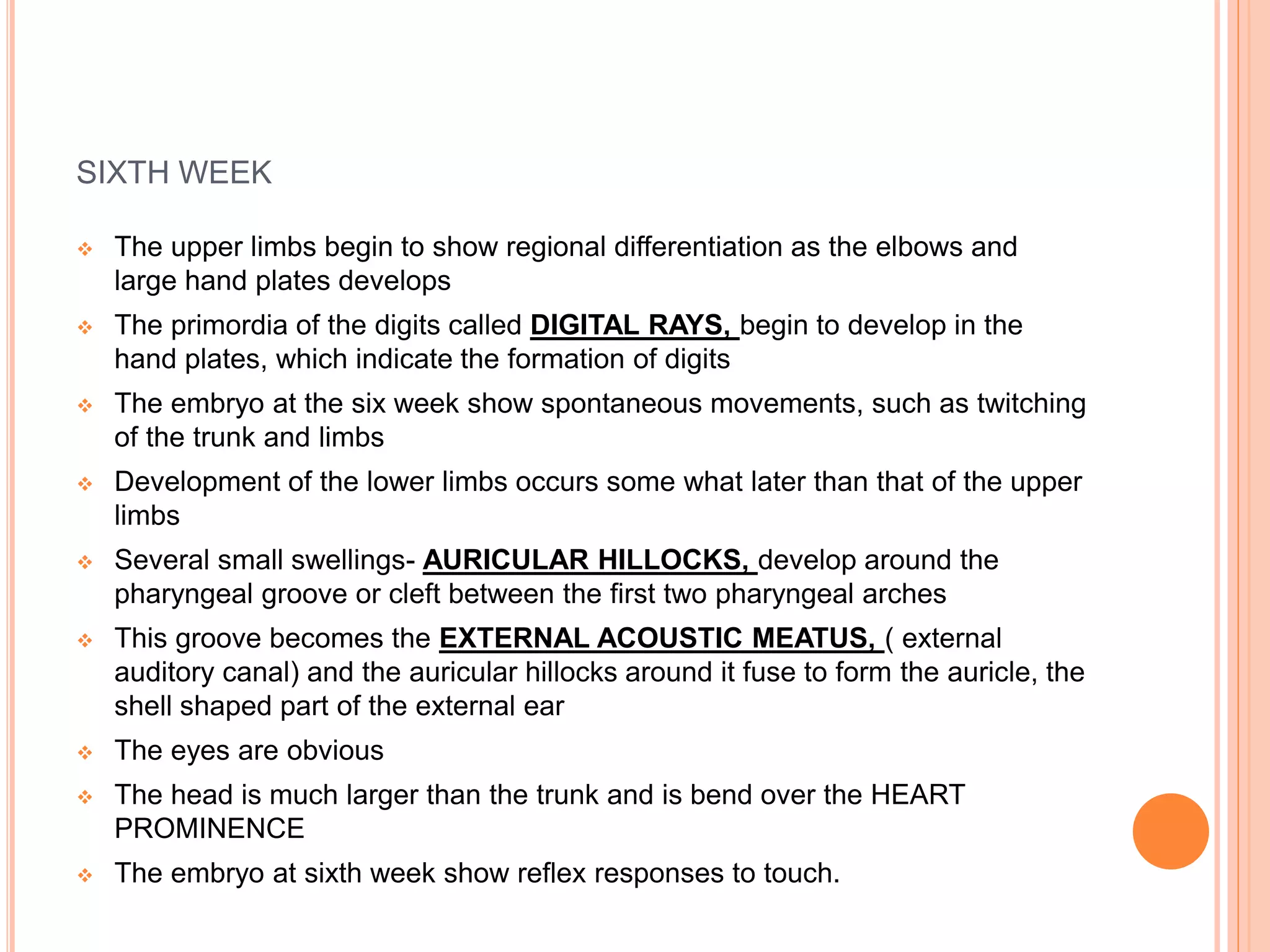 SIXTH WEEK
 The upper limbs begin to show regional differentiation as the elbows and
large hand plates develops
 The primordia of the digits called DIGITAL RAYS, begin to develop in the
hand plates, which indicate the formation of digits
 The embryo at the six week show spontaneous movements, such as twitching
of the trunk and limbs
 Development of the lower limbs occurs some what later than that of the upper
limbs
 Several small swellings- AURICULAR HILLOCKS, develop around the
pharyngeal groove or cleft between the first two pharyngeal arches
 This groove becomes the EXTERNAL ACOUSTIC MEATUS, ( external
auditory canal) and the auricular hillocks around it fuse to form the auricle, the
shell shaped part of the external ear
 The eyes are obvious
 The head is much larger than the trunk and is bend over the HEART
PROMINENCE
 The embryo at sixth week show reflex responses to touch.
 