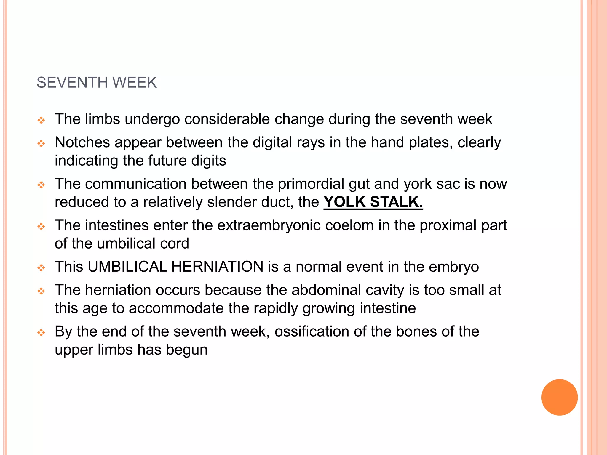 SEVENTH WEEK
 The limbs undergo considerable change during the seventh week
 Notches appear between the digital rays in the hand plates, clearly
indicating the future digits
 The communication between the primordial gut and york sac is now
reduced to a relatively slender duct, the YOLK STALK.
 The intestines enter the extraembryonic coelom in the proximal part
of the umbilical cord
 This UMBILICAL HERNIATION is a normal event in the embryo
 The herniation occurs because the abdominal cavity is too small at
this age to accommodate the rapidly growing intestine
 By the end of the seventh week, ossification of the bones of the
upper limbs has begun
 