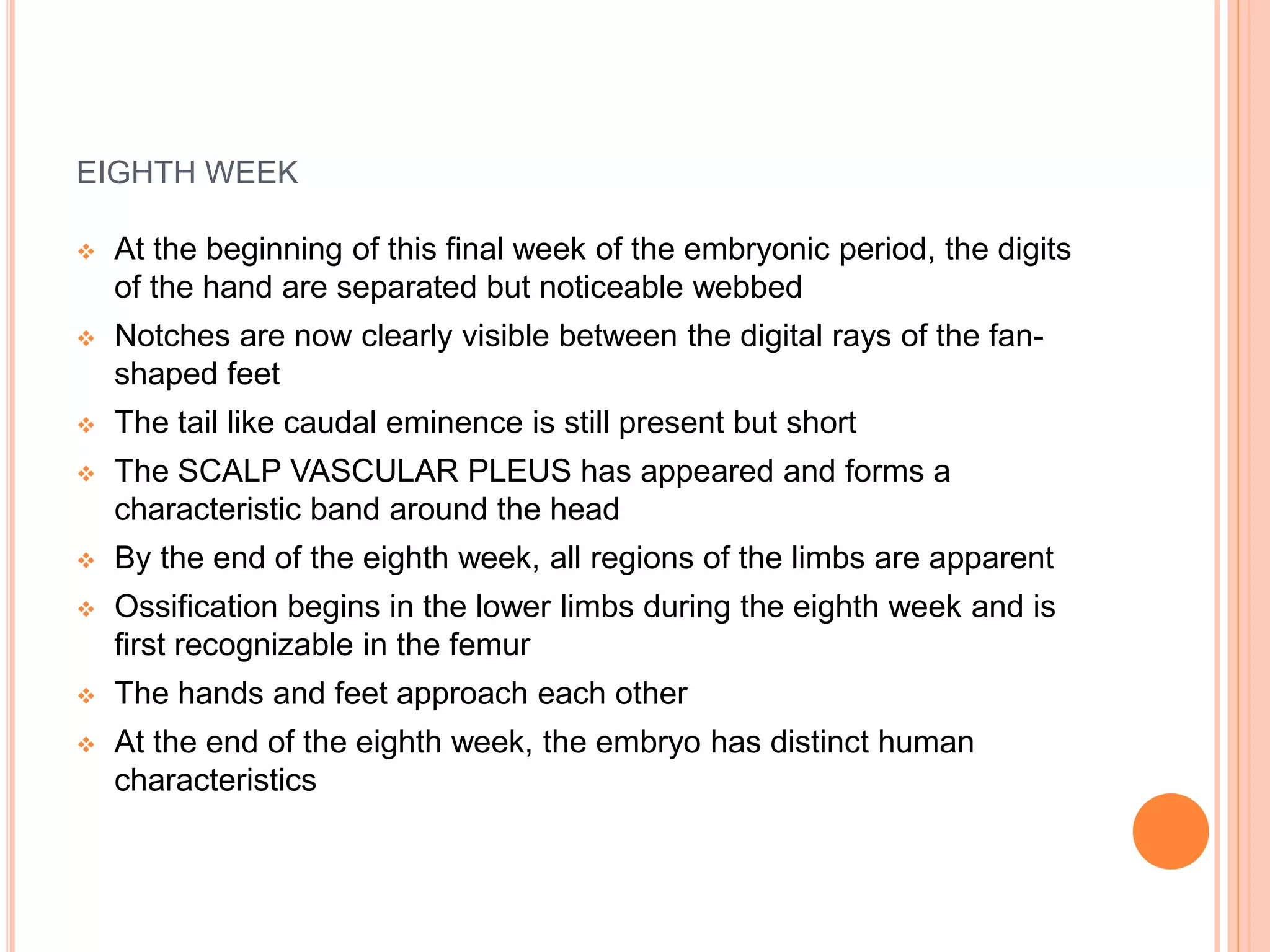 EIGHTH WEEK
 At the beginning of this final week of the embryonic period, the digits
of the hand are separated but noticeable webbed
 Notches are now clearly visible between the digital rays of the fan-
shaped feet
 The tail like caudal eminence is still present but short
 The SCALP VASCULAR PLEUS has appeared and forms a
characteristic band around the head
 By the end of the eighth week, all regions of the limbs are apparent
 Ossification begins in the lower limbs during the eighth week and is
first recognizable in the femur
 The hands and feet approach each other
 At the end of the eighth week, the embryo has distinct human
characteristics
 