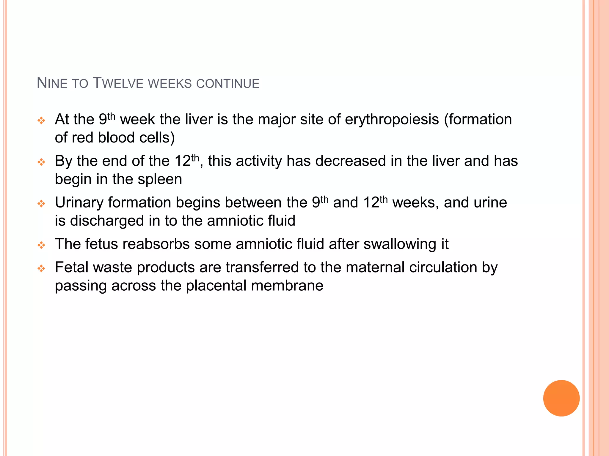 NINE TO TWELVE WEEKS CONTINUE
 At the 9th week the liver is the major site of erythropoiesis (formation
of red blood cells)
 By the end of the 12th, this activity has decreased in the liver and has
begin in the spleen
 Urinary formation begins between the 9th and 12th weeks, and urine
is discharged in to the amniotic fluid
 The fetus reabsorbs some amniotic fluid after swallowing it
 Fetal waste products are transferred to the maternal circulation by
passing across the placental membrane
 